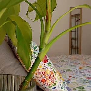 Sosta A Colori Appartamento